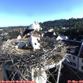 07_25-nest.jpg