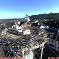 07_35-nest.jpg