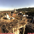 07_50-nest.jpg