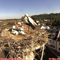 09_00-nest.jpg