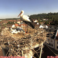09_05-nest.jpg