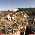 09_30-nest.jpg