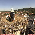 10_05-nest.jpg