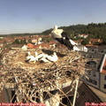 10_25-nest.jpg