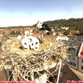 10_30-nest.jpg