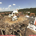 13_10-nest.jpg