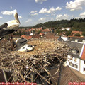 14_10-nest.jpg