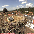 14_20-nest.jpg
