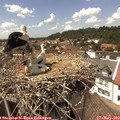 14_30-nest.jpg