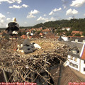 14_35-nest.jpg