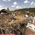 14_40-nest.jpg