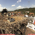 14_45-nest.jpg