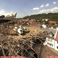 15_00-nest.jpg