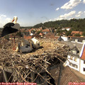 15_05-nest.jpg