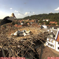 15_40-nest.jpg