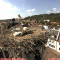 16_25-nest.jpg