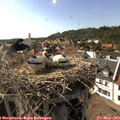 17_00-nest.jpg