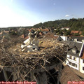 17_05-nest.jpg