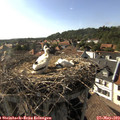 17_20-nest.jpg
