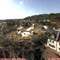 17_40-nest.jpg