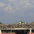 17_55-mast.jpg