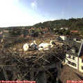 17_55-nest.jpg