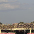 19_05-mast.jpg