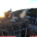 20_55-nest.jpg