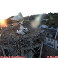 21_05-nest.jpg