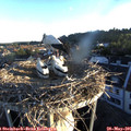 06_05-nest.jpg