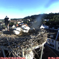 06_35-nest.jpg
