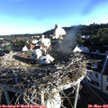 06_50-nest.jpg