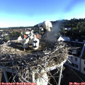 06_55-nest.jpg