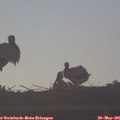 07_00-mast.jpg