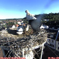 07_30-nest.jpg