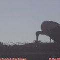 08_05-mast.jpg