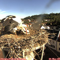 08_35-nest.jpg