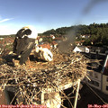 08_40-nest.jpg