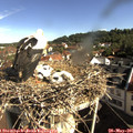09_00-nest.jpg
