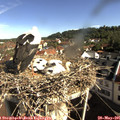09_05-nest.jpg