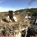 09_10-nest.jpg