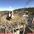 10_30-nest.jpg