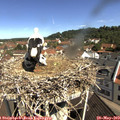 10_35-nest.jpg
