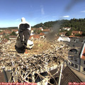 10_50-nest.jpg