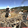 10_55-nest.jpg