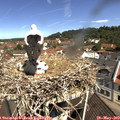 11_00-nest.jpg