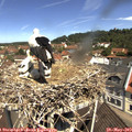 11_15-nest.jpg