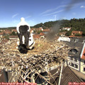 11_30-nest.jpg