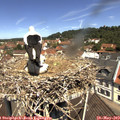11_35-nest.jpg