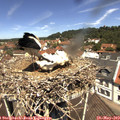 12_00-nest.jpg